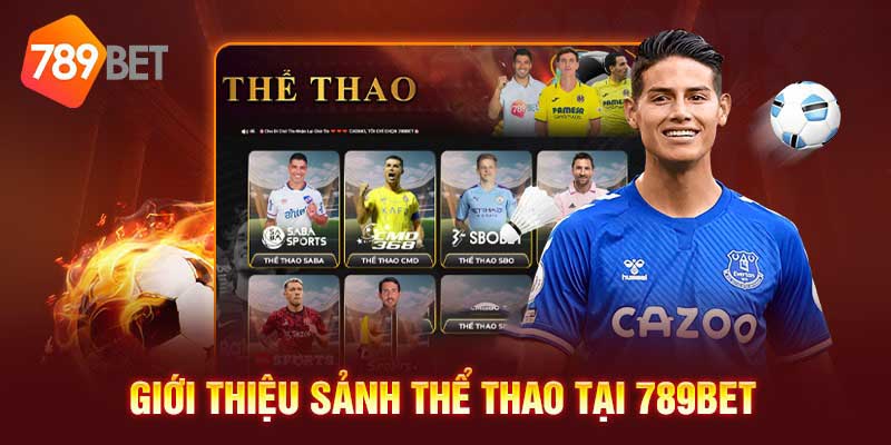 Thông tin tổng quan về sảnh cược thể thao tại hệ thống 789BET